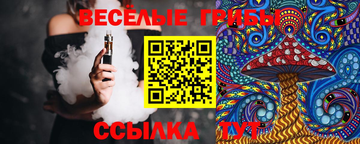 Кириши  Псилоцибиновые грибы прущие грибы  Вход с VPN 